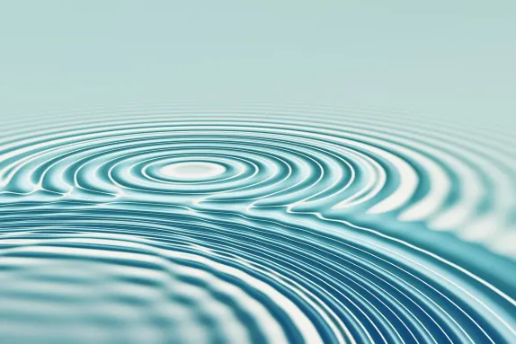 كازينو مس سبين الدعم